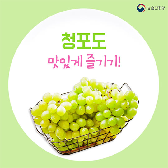 청포도 맛있게 즐기기