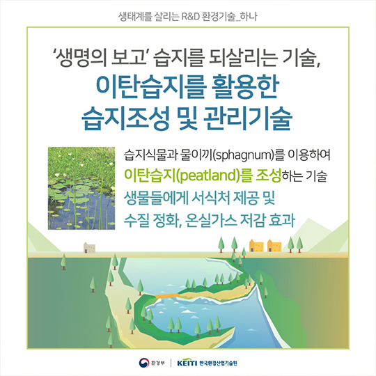 생태복원, 자연과 인간의 평화로운 공존이야기