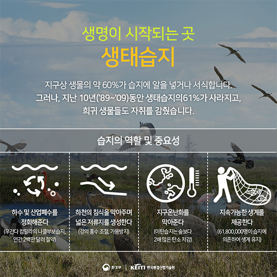 생태복원, 자연과 인간의 평화로운 공존이야기