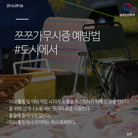 쯔쯔가무시증의 모든것!