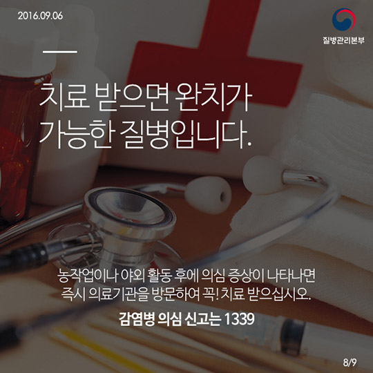 쯔쯔가무시증의 모든것!