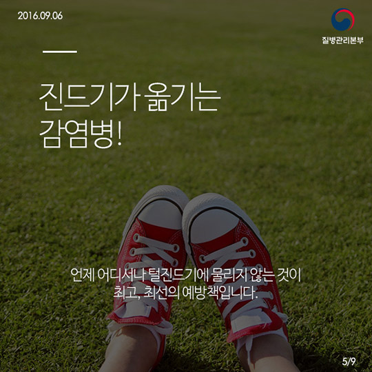 쯔쯔가무시증의 모든것!