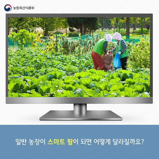 똑똑한 농부들의 비밀, 스마트 팜