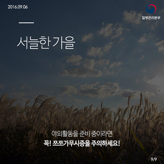쯔쯔가무시증의 모든것!