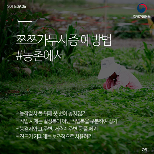 쯔쯔가무시증의 모든것!