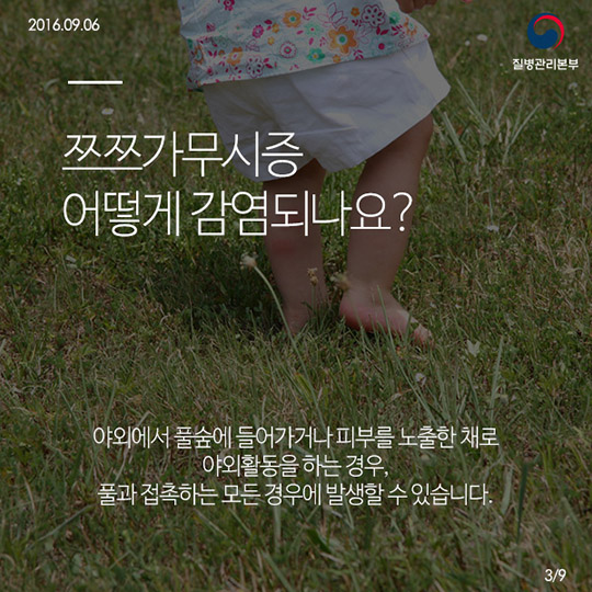 쯔쯔가무시증의 모든것!