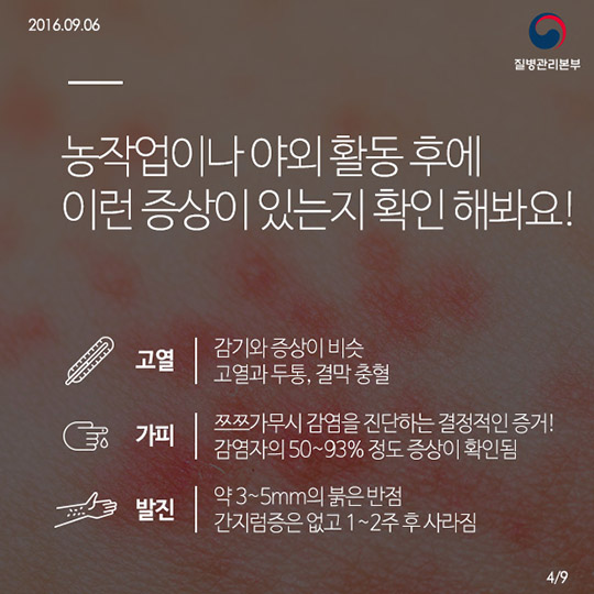 쯔쯔가무시증의 모든것!