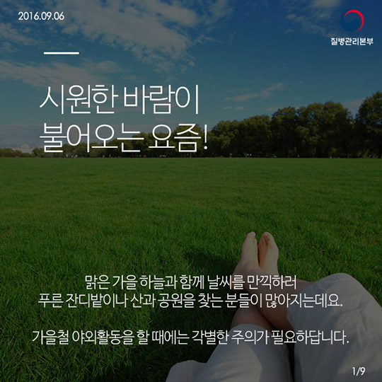 쯔쯔가무시증의 모든것!