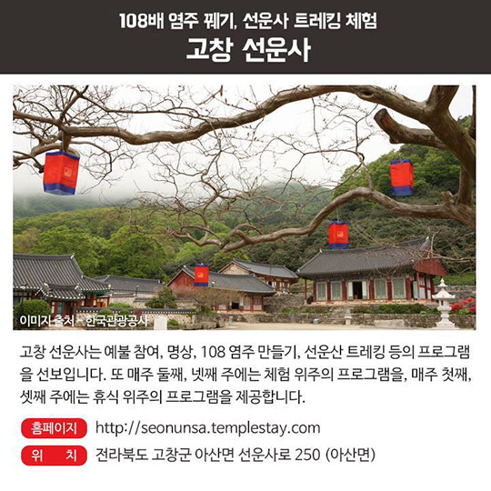 템플 스테이 추천리스트