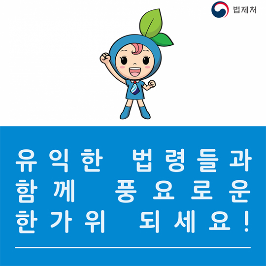 귀성길 반려동물과 함께한다면? 꼭 알아두세요!