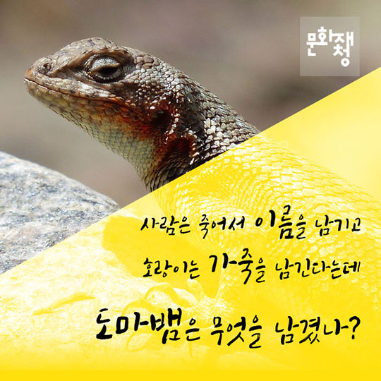 세계 최초 중생대 백악기 도마뱀발자국 화석 발견