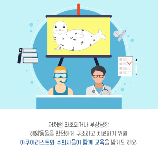 집으로 가는 길, 점박이물범 복돌이의 여정
