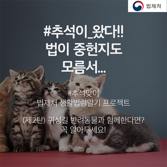 귀성길 반려동물과 함께한다면? 꼭 알아두세요!