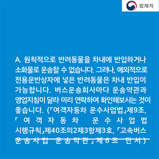 귀성길 반려동물과 함께한다면? 꼭 알아두세요!