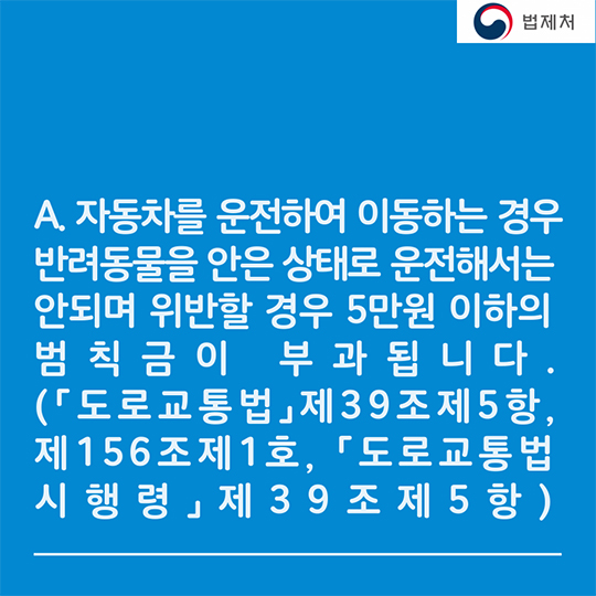 귀성길 반려동물과 함께한다면? 꼭 알아두세요!