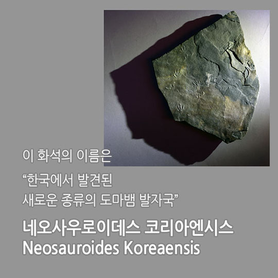 세계 최초 중생대 백악기 도마뱀발자국 화석 발견