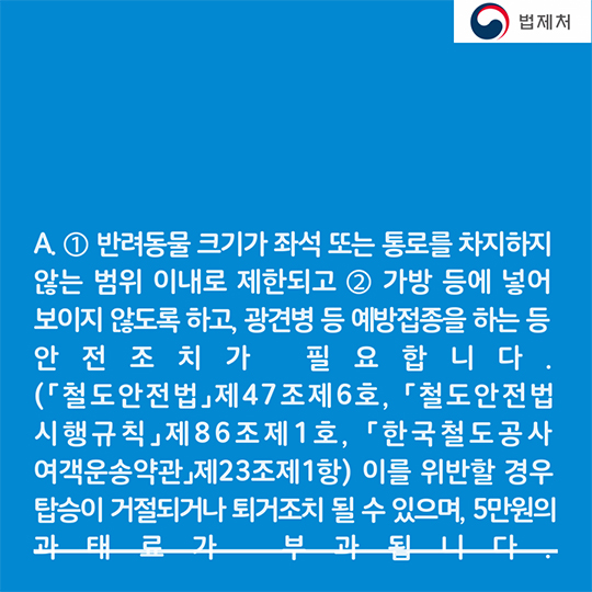 귀성길 반려동물과 함께한다면? 꼭 알아두세요!