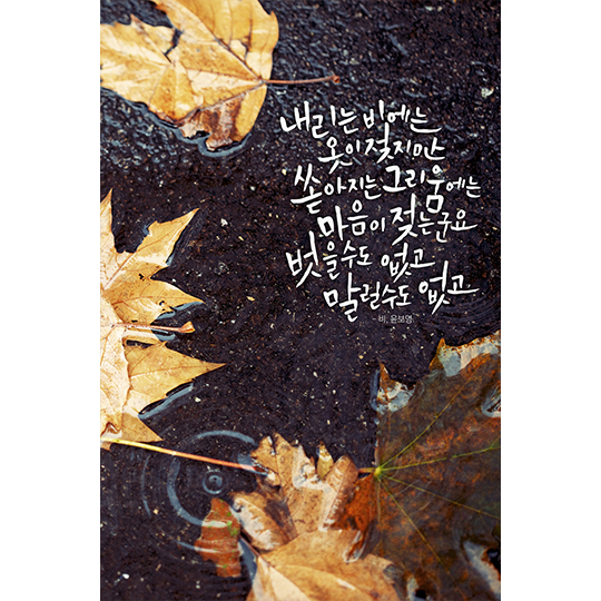 캘리그래피 써드립니다