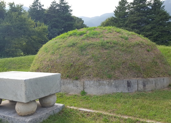 남연군의 묘, 2대에 걸쳐 왕이 나올 자리라고 칭함을 받았다.