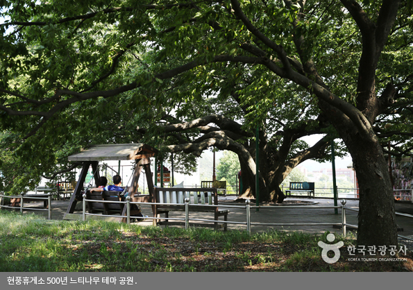 현풍휴게소 500년 느티나무 테마 공원