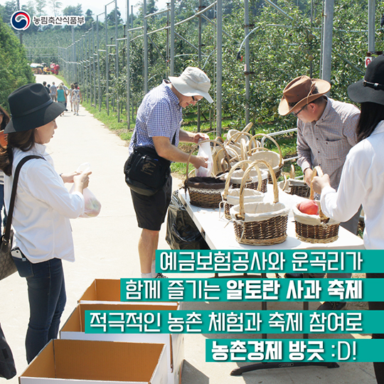 예금보험공사와 운곡리의 우정