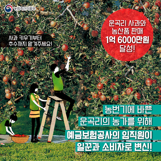 예금보험공사와 운곡리의 우정