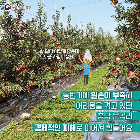 예금보험공사와 운곡리의 우정
