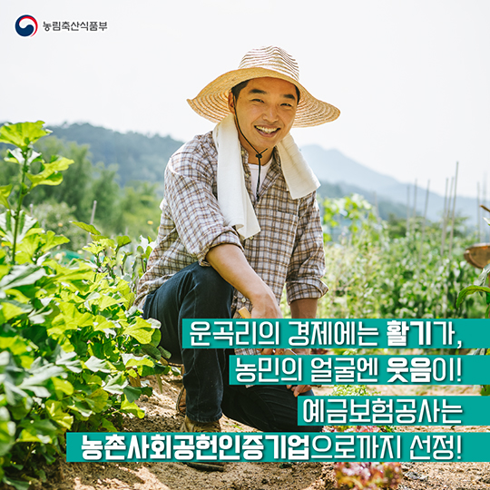 예금보험공사와 운곡리의 우정