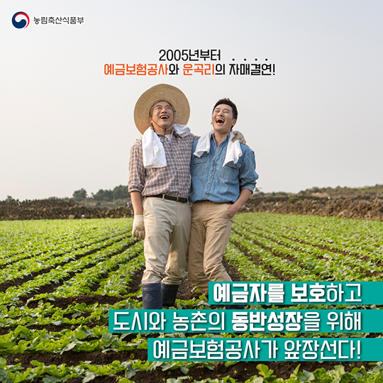 예금보험공사와 운곡리의 우정