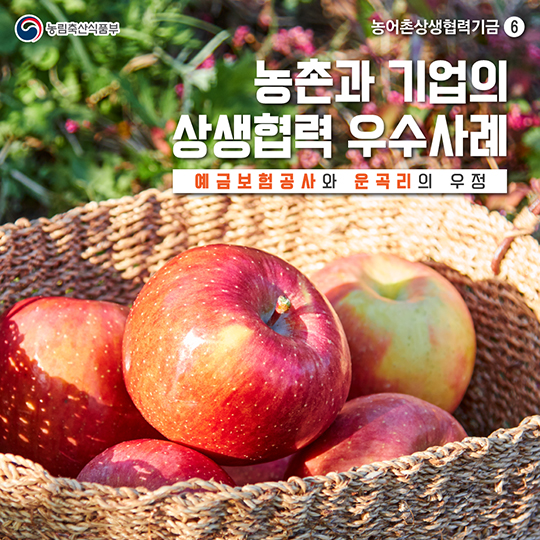 예금보험공사와 운곡리의 우정
