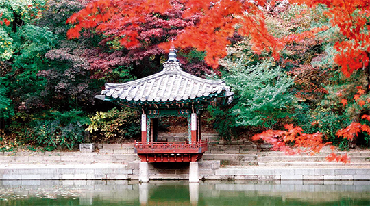 창덕궁 후원.(사진=동아DB)