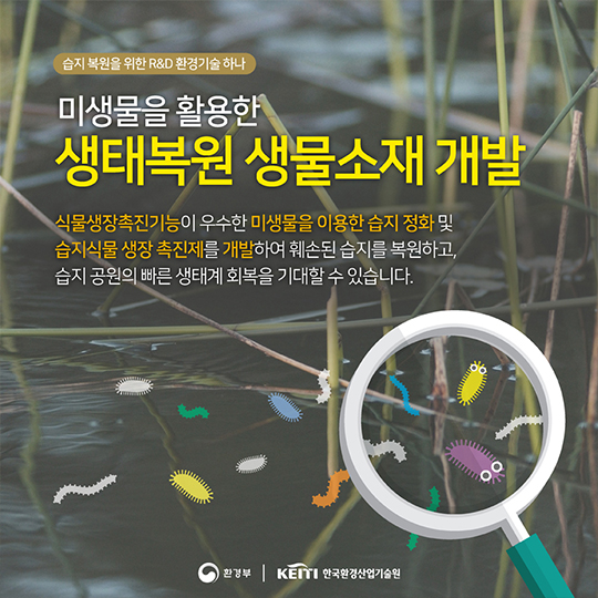 지구의 생명이 시작되는 곳, 습지이야기