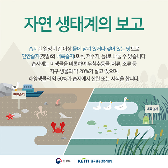 지구의 생명이 시작되는 곳, 습지이야기