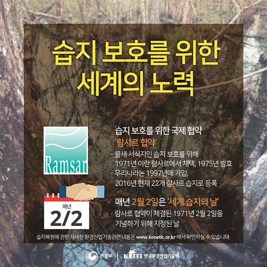 지구의 생명이 시작되는 곳, 습지이야기