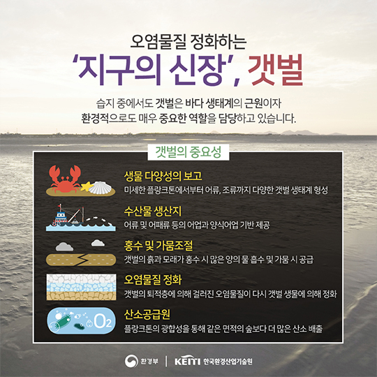 지구의 생명이 시작되는 곳, 습지이야기