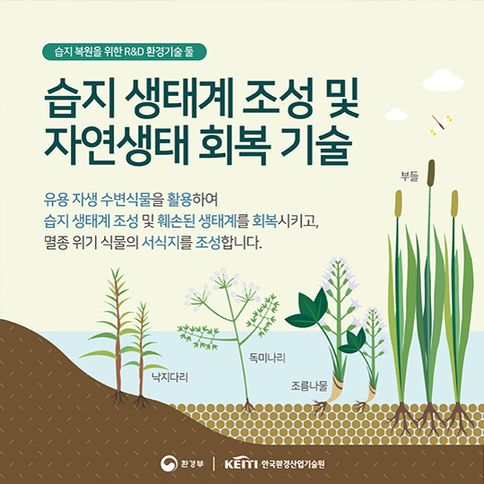 지구의 생명이 시작되는 곳, 습지이야기