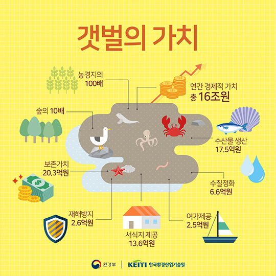 지구의 생명이 시작되는 곳, 습지이야기
