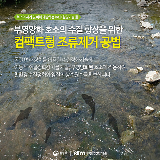지속가능한 녹조제거 기술은 없을까?