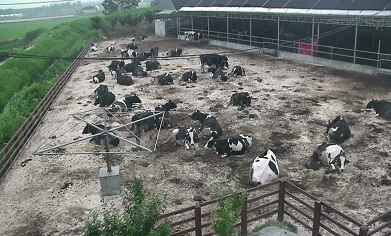 운동장 제공 등 쾌적한 사육공간.