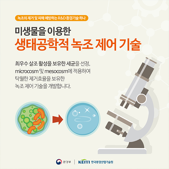 지속가능한 녹조제거 기술은 없을까?