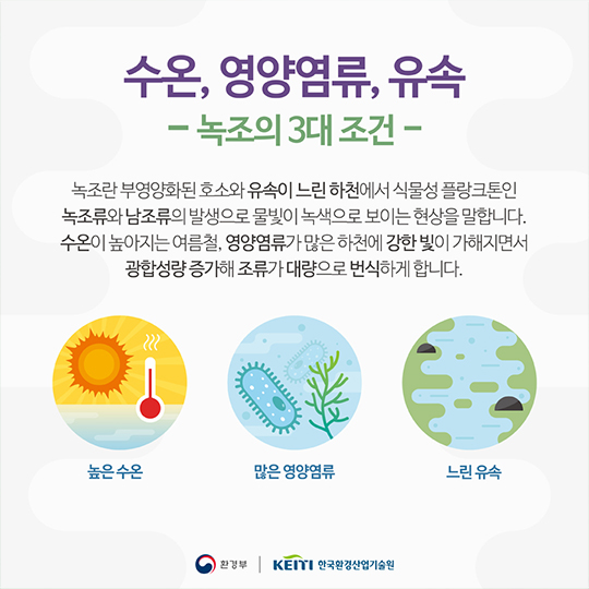 지속가능한 녹조제거 기술은 없을까?