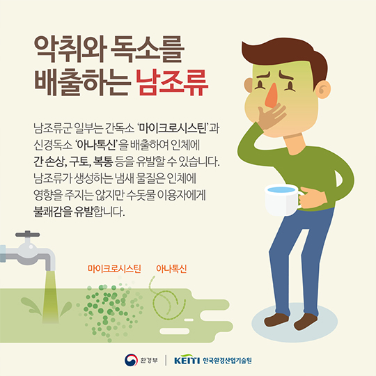 지속가능한 녹조제거 기술은 없을까?