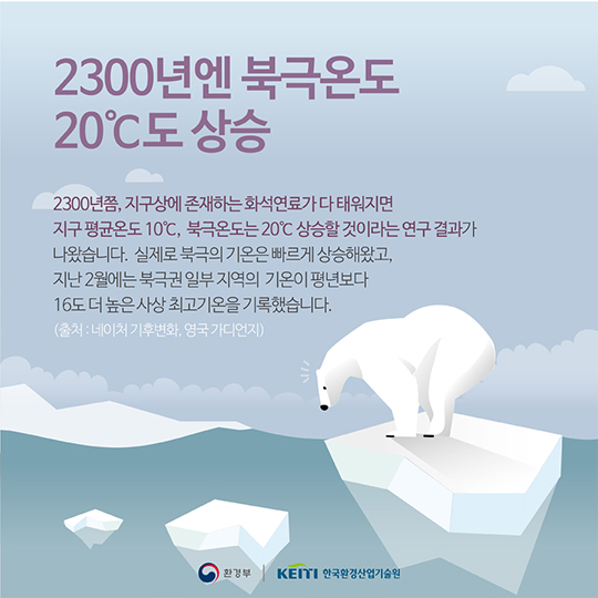 북극이 사라지면 북극곰은 어떻게 되나요?