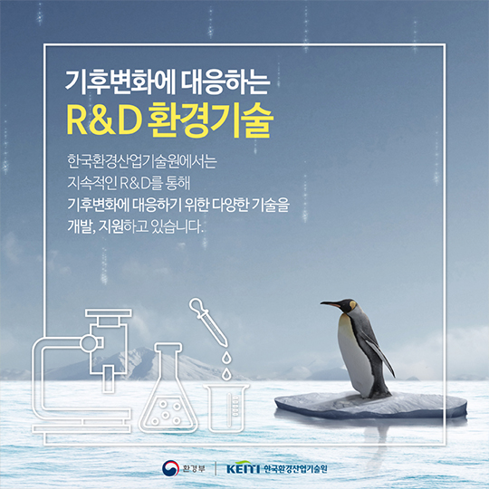 북극이 사라지면 북극곰은 어떻게 되나요?