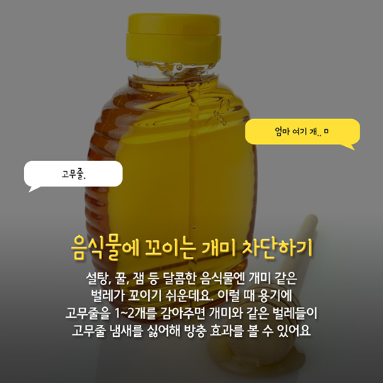 생활발명 꿀팁 집안에서 뒹구는 고무줄 활용법