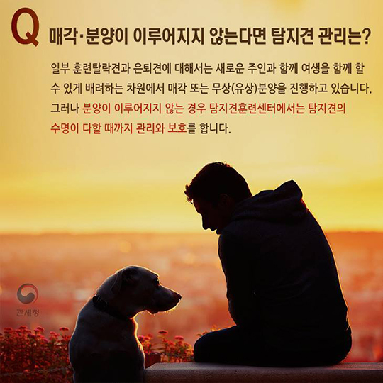 마약탐지견 의 주인이 되어주세요!