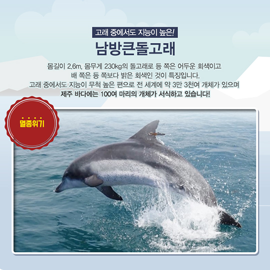 멸종위기 해양생물