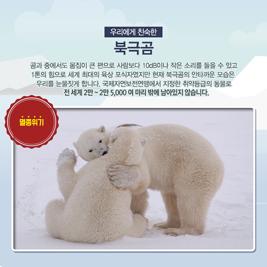 멸종위기 해양생물