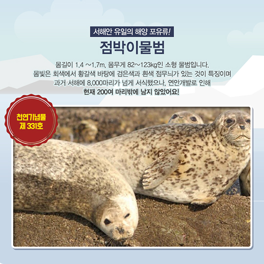 멸종위기 해양생물