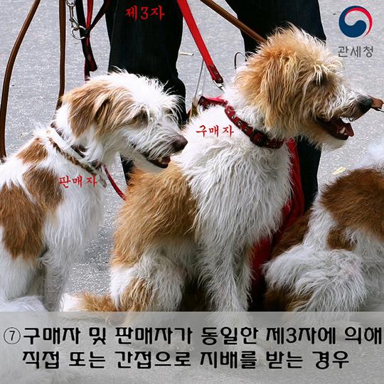 관세법상 특수관계